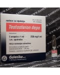 Testosteron Depo Galenika - 250mg / amp [Tesztoszteron enanthate]