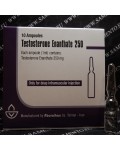 Testosterone Enanthate 250 mg Iran